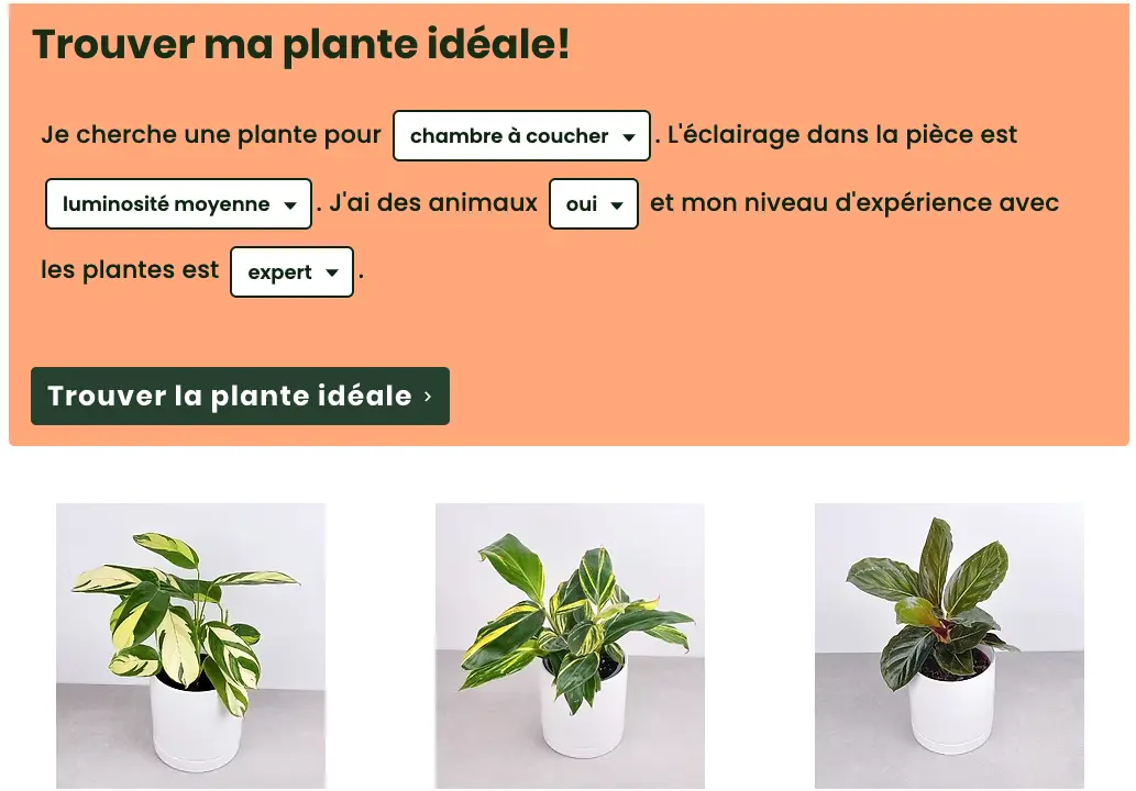 Quiz interactif « Trouver ma plante idéale » avec choix de pièce, luminosité, animaux et niveau d'expérience